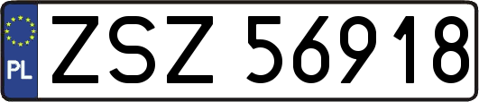 ZSZ56918