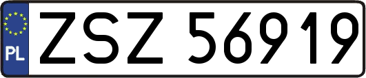 ZSZ56919