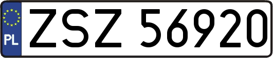 ZSZ56920
