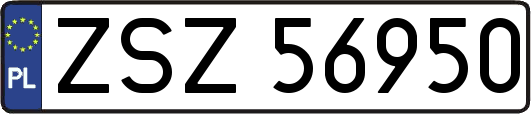 ZSZ56950