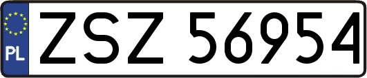 ZSZ56954