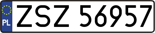 ZSZ56957