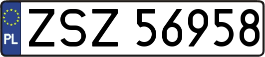 ZSZ56958