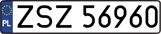 ZSZ56960