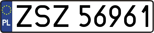 ZSZ56961