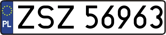 ZSZ56963