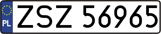 ZSZ56965