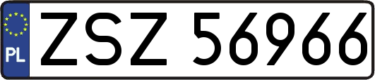 ZSZ56966