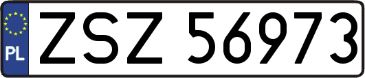 ZSZ56973