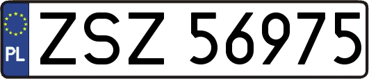 ZSZ56975