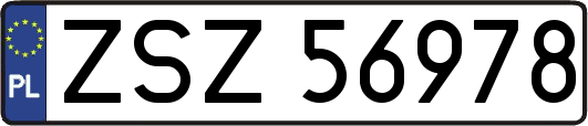 ZSZ56978