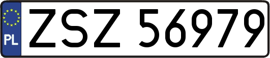 ZSZ56979