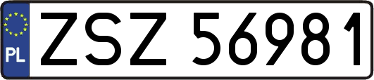 ZSZ56981