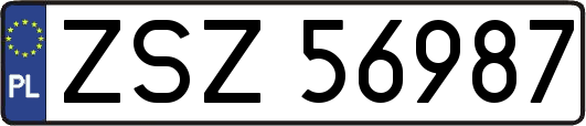 ZSZ56987