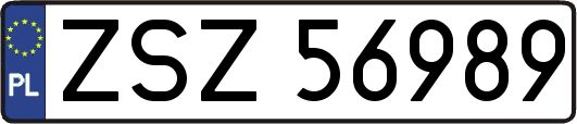 ZSZ56989