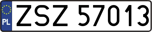 ZSZ57013