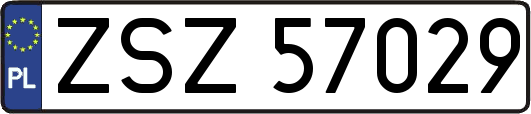 ZSZ57029