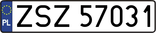 ZSZ57031