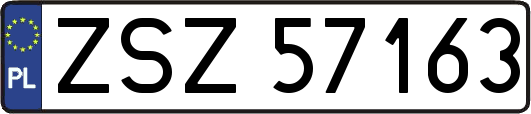ZSZ57163