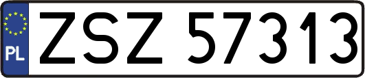 ZSZ57313