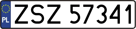 ZSZ57341