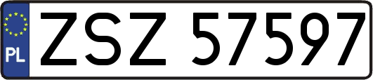 ZSZ57597