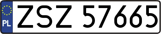ZSZ57665