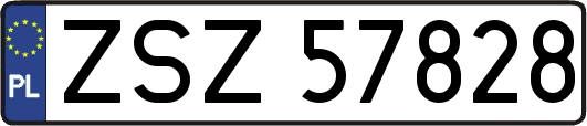 ZSZ57828