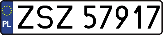 ZSZ57917
