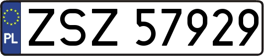 ZSZ57929