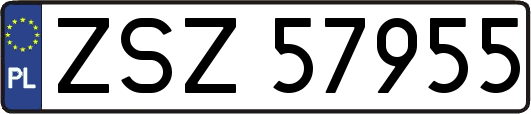 ZSZ57955