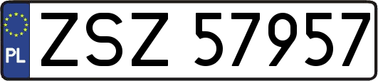 ZSZ57957
