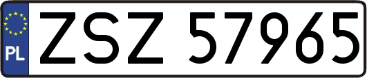 ZSZ57965