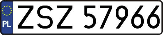 ZSZ57966