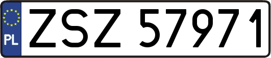 ZSZ57971