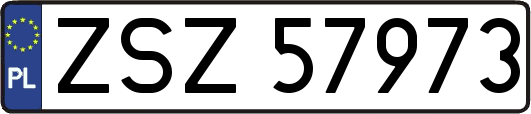 ZSZ57973