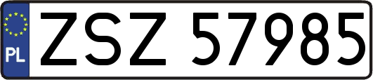 ZSZ57985