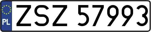 ZSZ57993