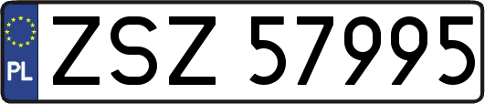 ZSZ57995