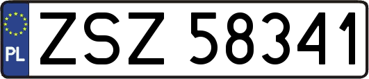 ZSZ58341