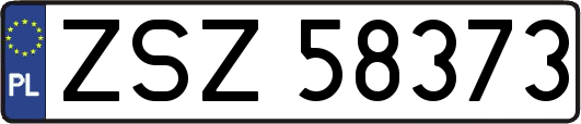 ZSZ58373