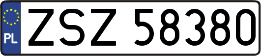 ZSZ58380