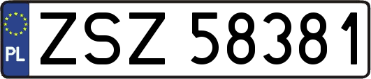 ZSZ58381