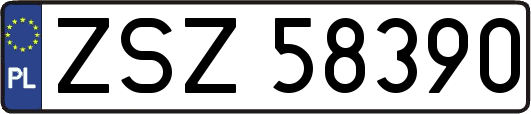 ZSZ58390