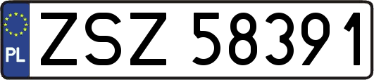 ZSZ58391