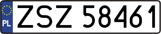 ZSZ58461