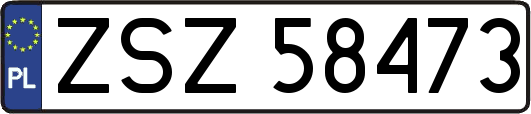 ZSZ58473
