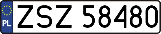ZSZ58480
