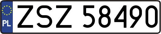 ZSZ58490