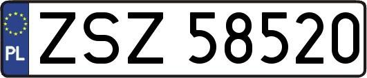 ZSZ58520